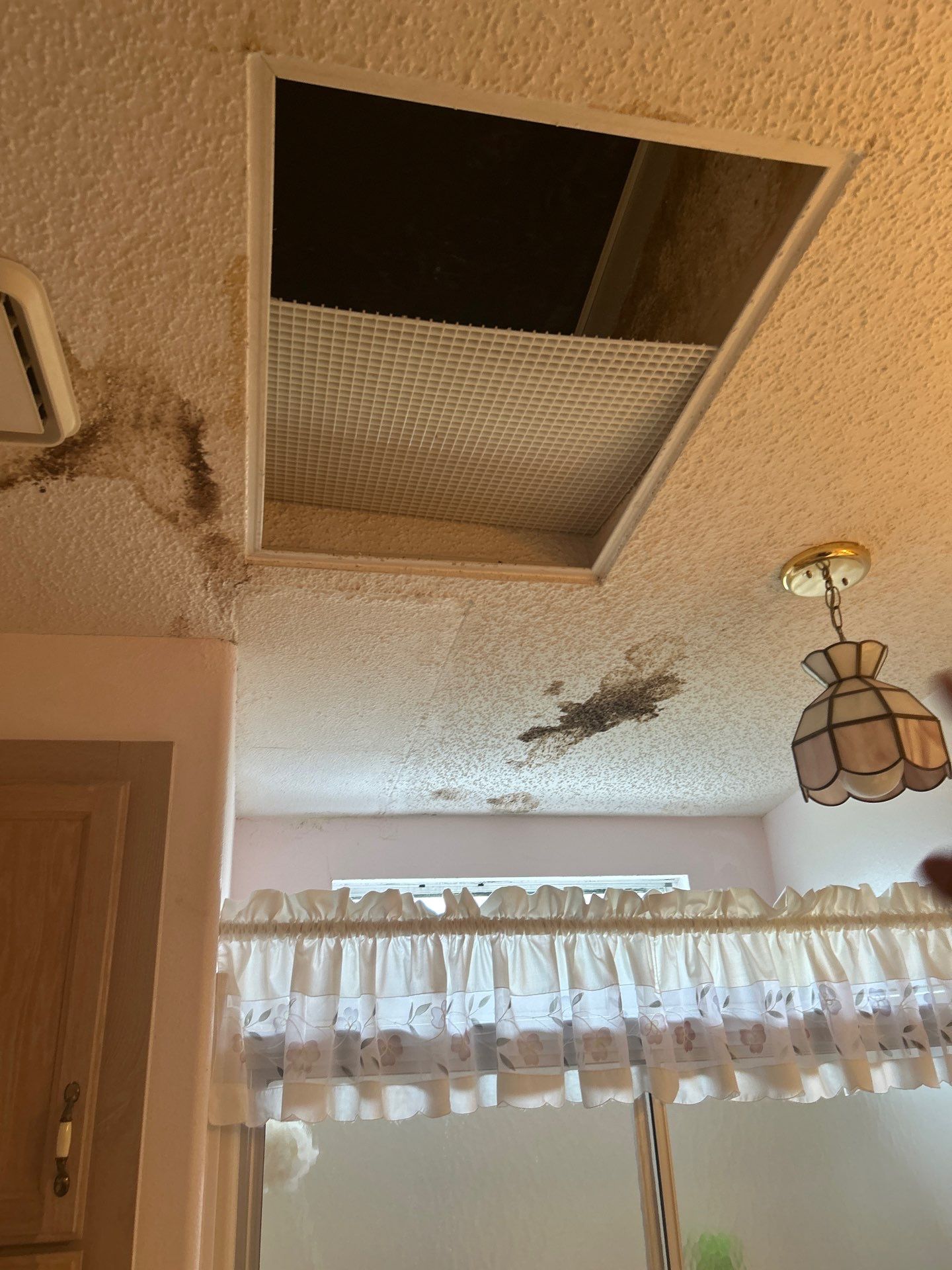 Water Damage In Palmetto by Ampm Restoration Services 