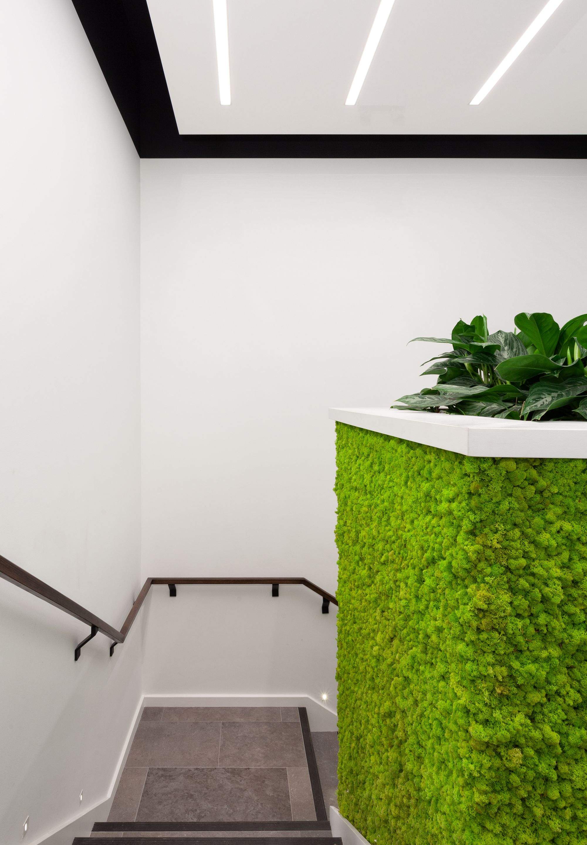 GFL Office Renovation – Commercial Interior Painting (Squamish) by Top Coats Professional Painting