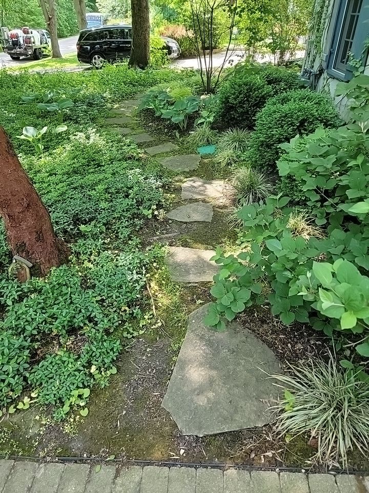 Glencoe, IL brick paver clean sand seal, repair, and reseal by Northern Power Washing LLC.