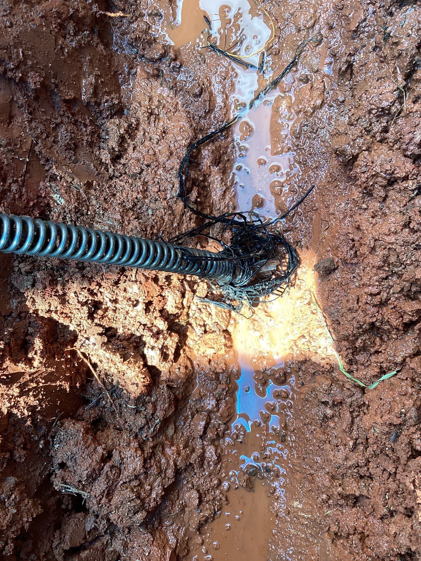 Project in Moore by PRO-ROOTER