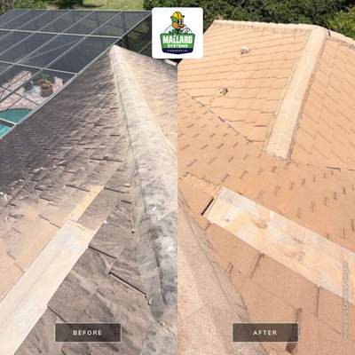 Tile Roof Cleaning in Windermere, Florida