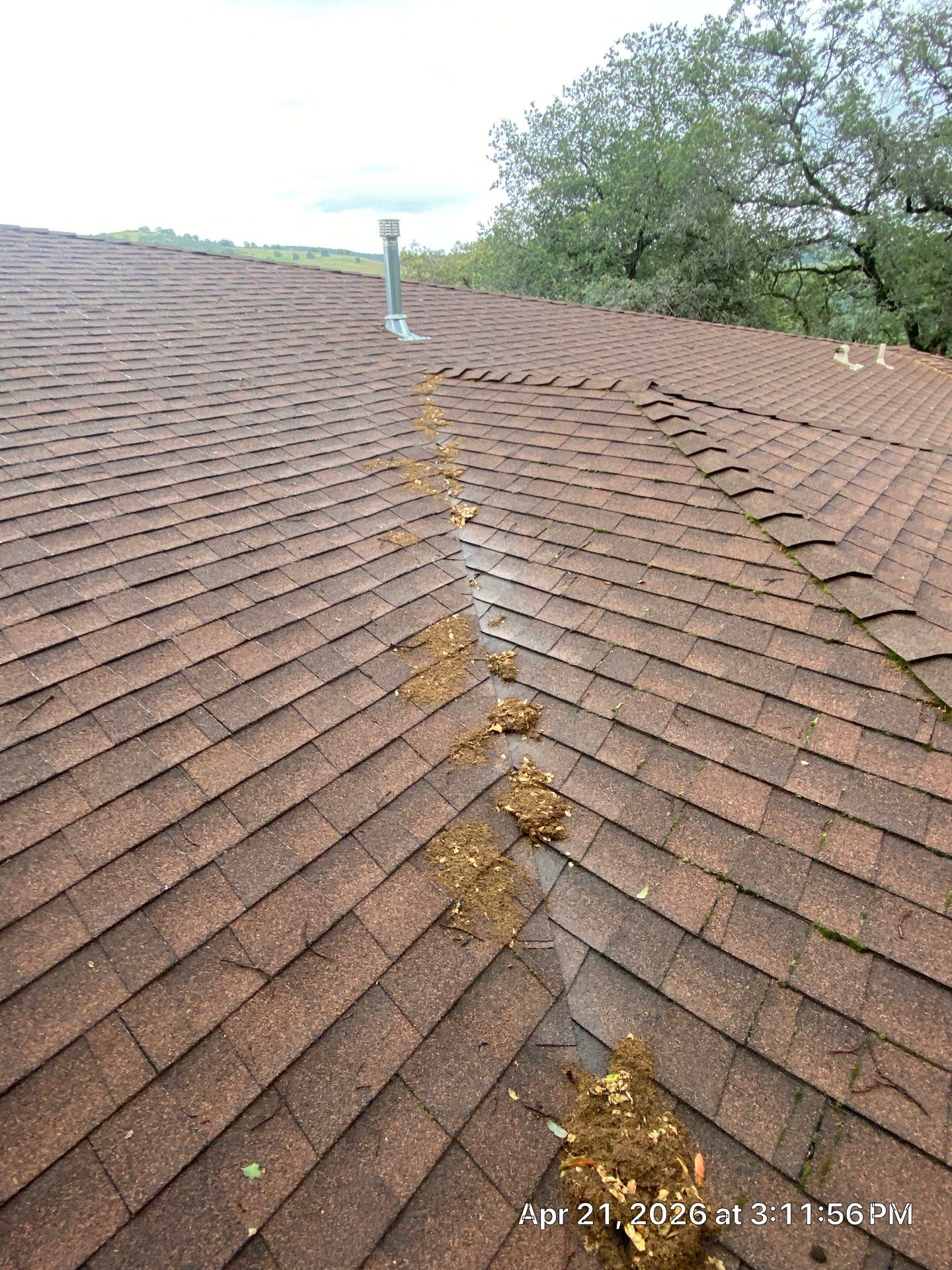 Roof Rejuvenation using Roof Maxx Treatment by Roof Maxx of Folsom