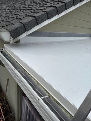 Project in Albany