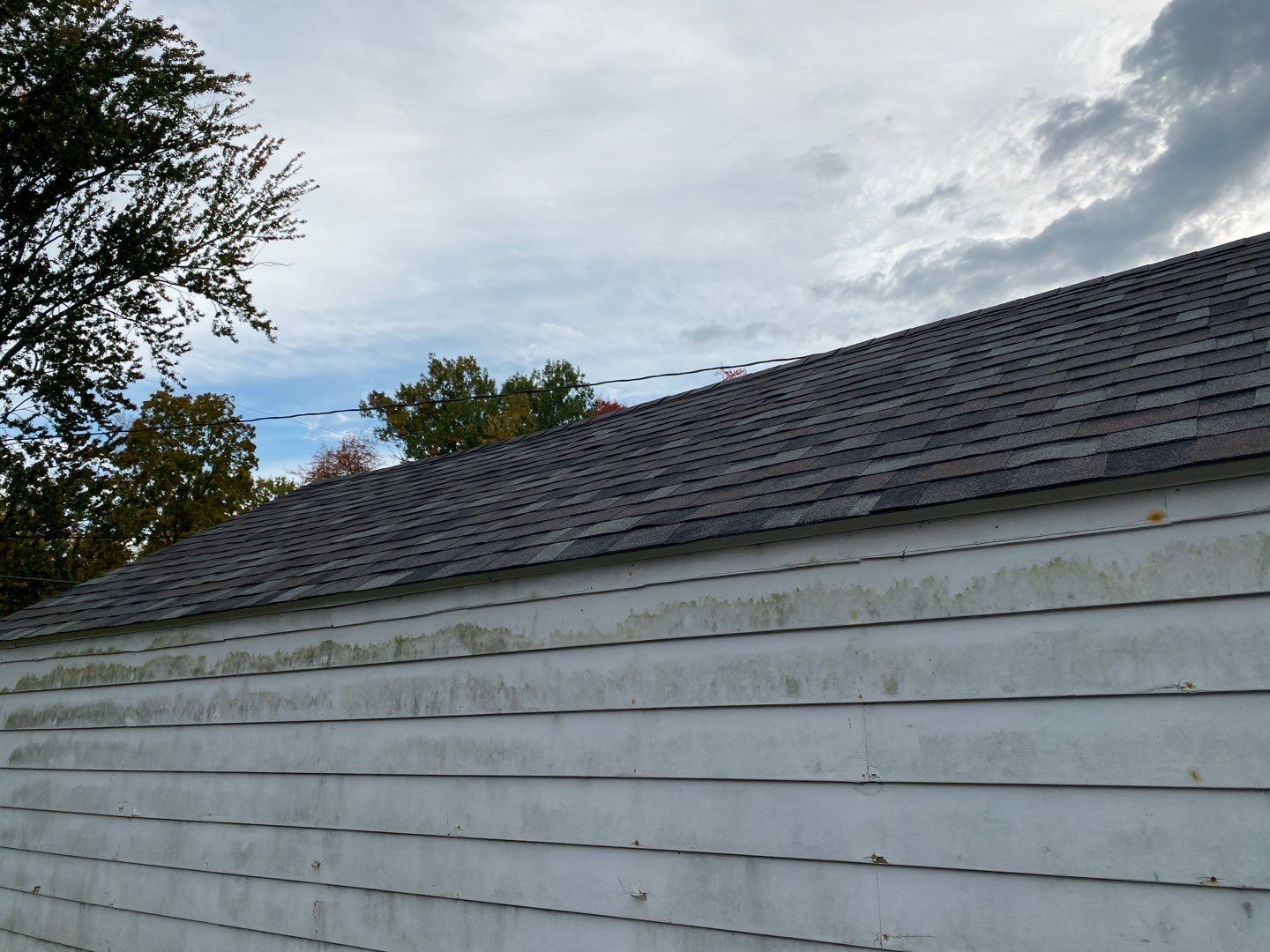 Ray Simon by Silver Leaf Contracting 