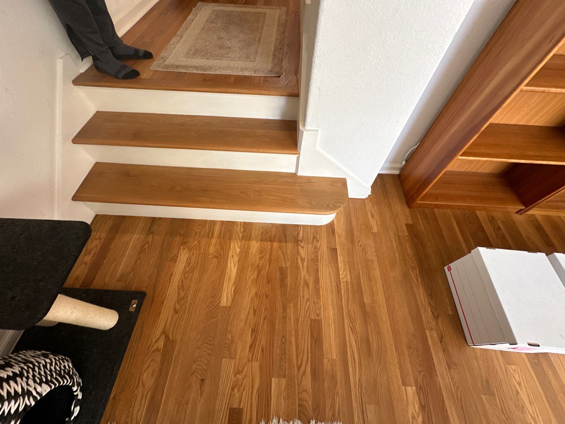 Project Showcase  by Elephant Floors Inc