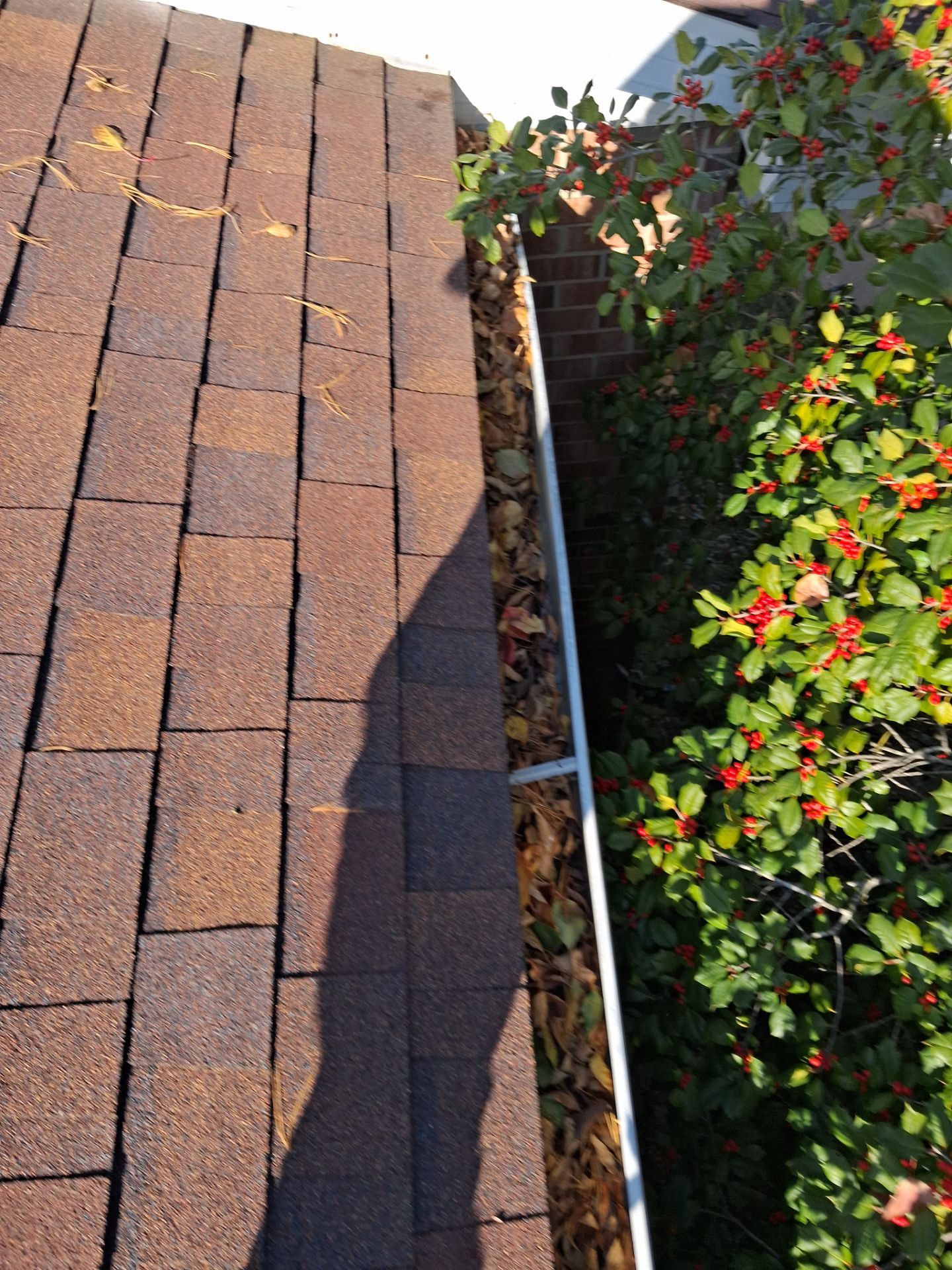 Commercial gutter cleaning Evansville, IN before photo with filled gutters