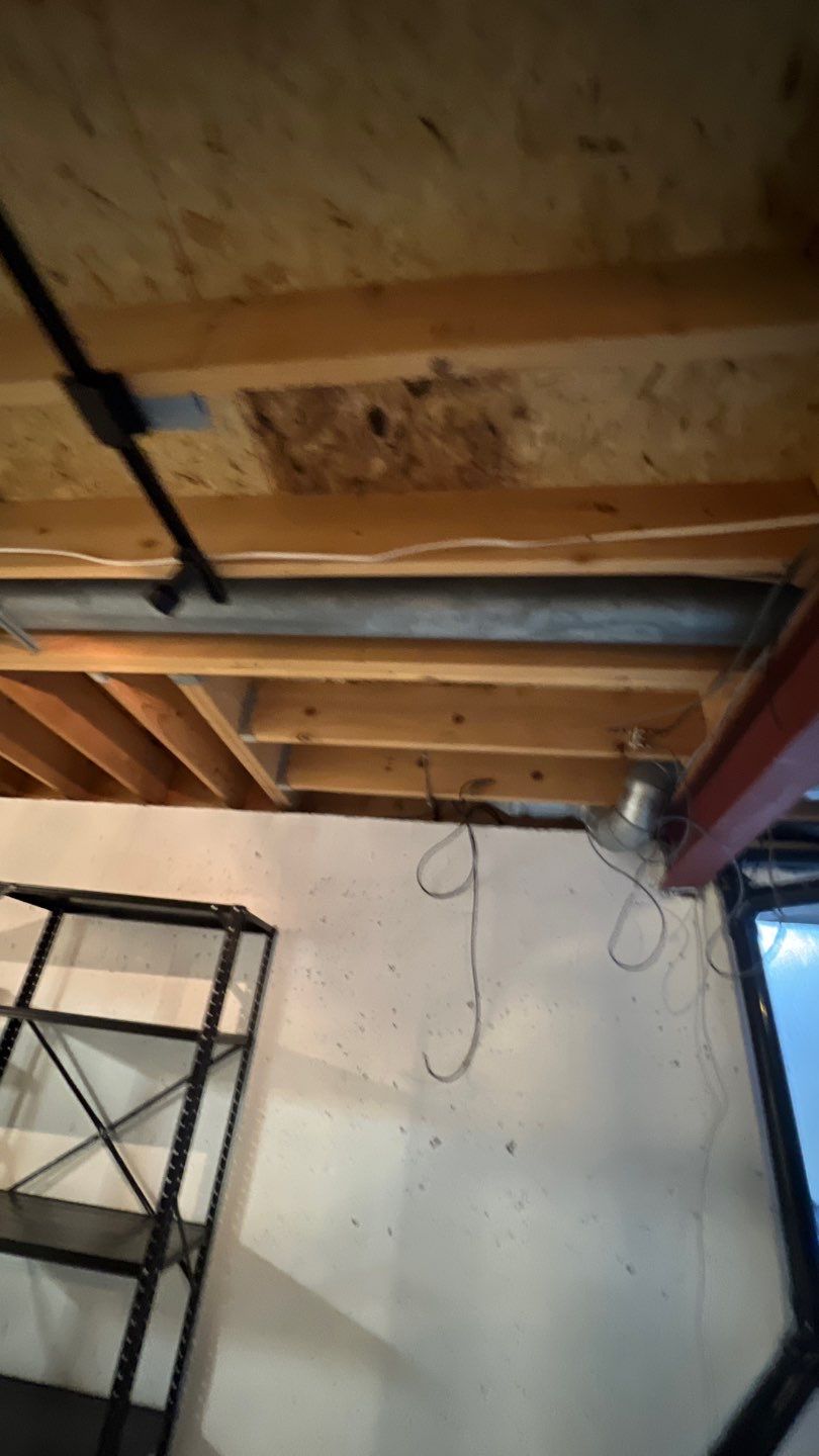 Mold Damage by Accountable Home Services