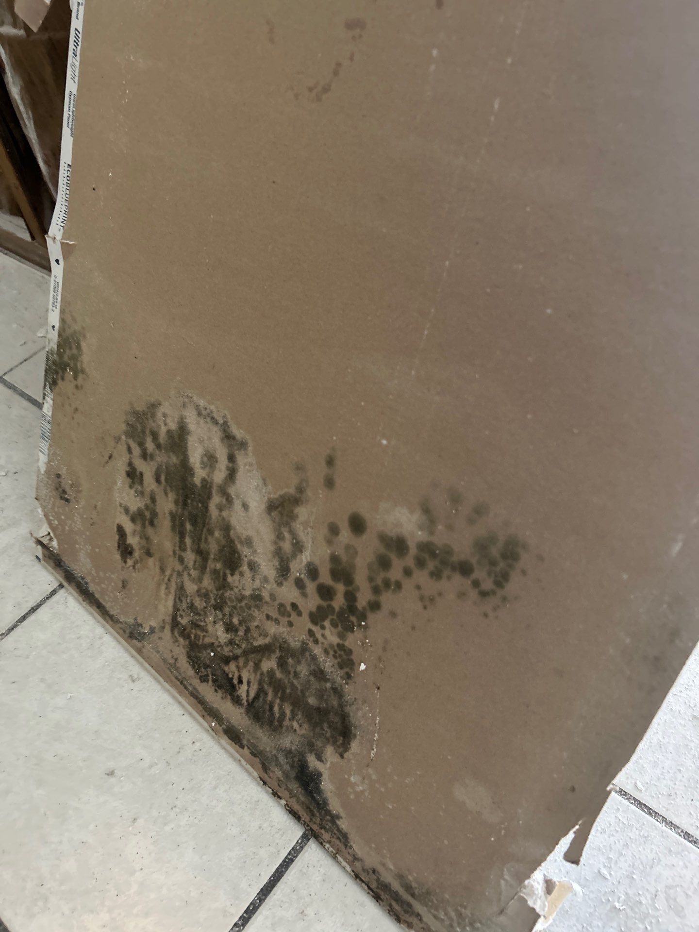 Mold Remediation In Sarasota by Ampm Restoration Services