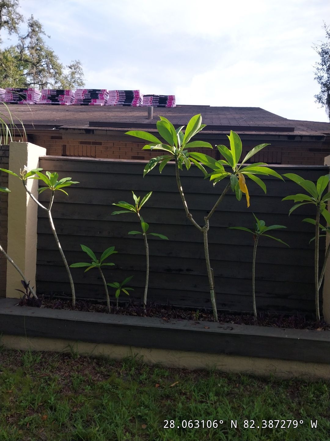 Project in Tampa 33617 by Mitchell Roofing Company LLC 