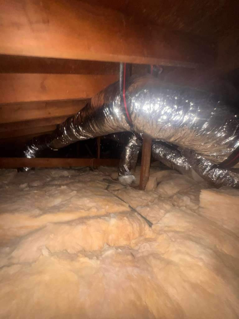 Project by Advanced Attic Solutions by Advanced Attic Solutions