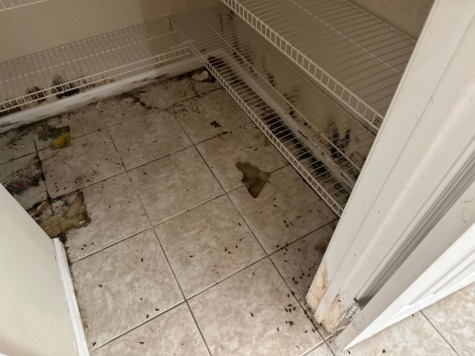 Water Damage Claim in Miramar by FLAPA & KeyStone