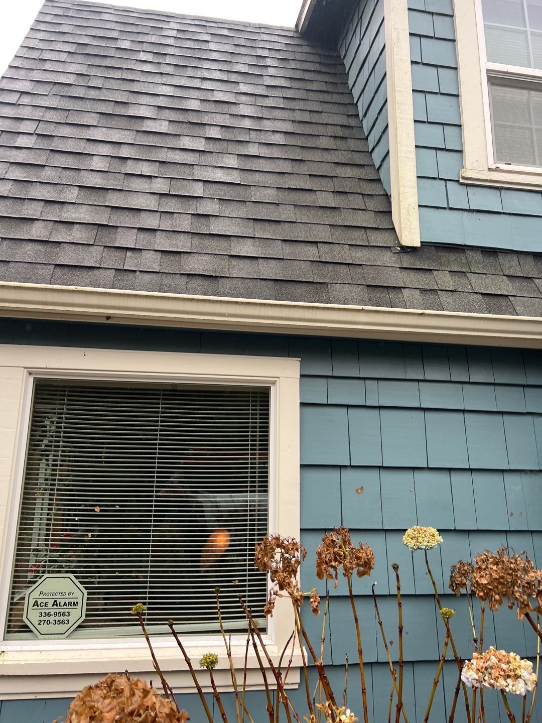 Residential Roofing Installation using Malarkey Windsor by Orezona Building & Roofing Company, Inc.