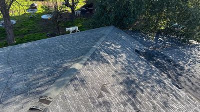 Project by NuLead Construction Inc