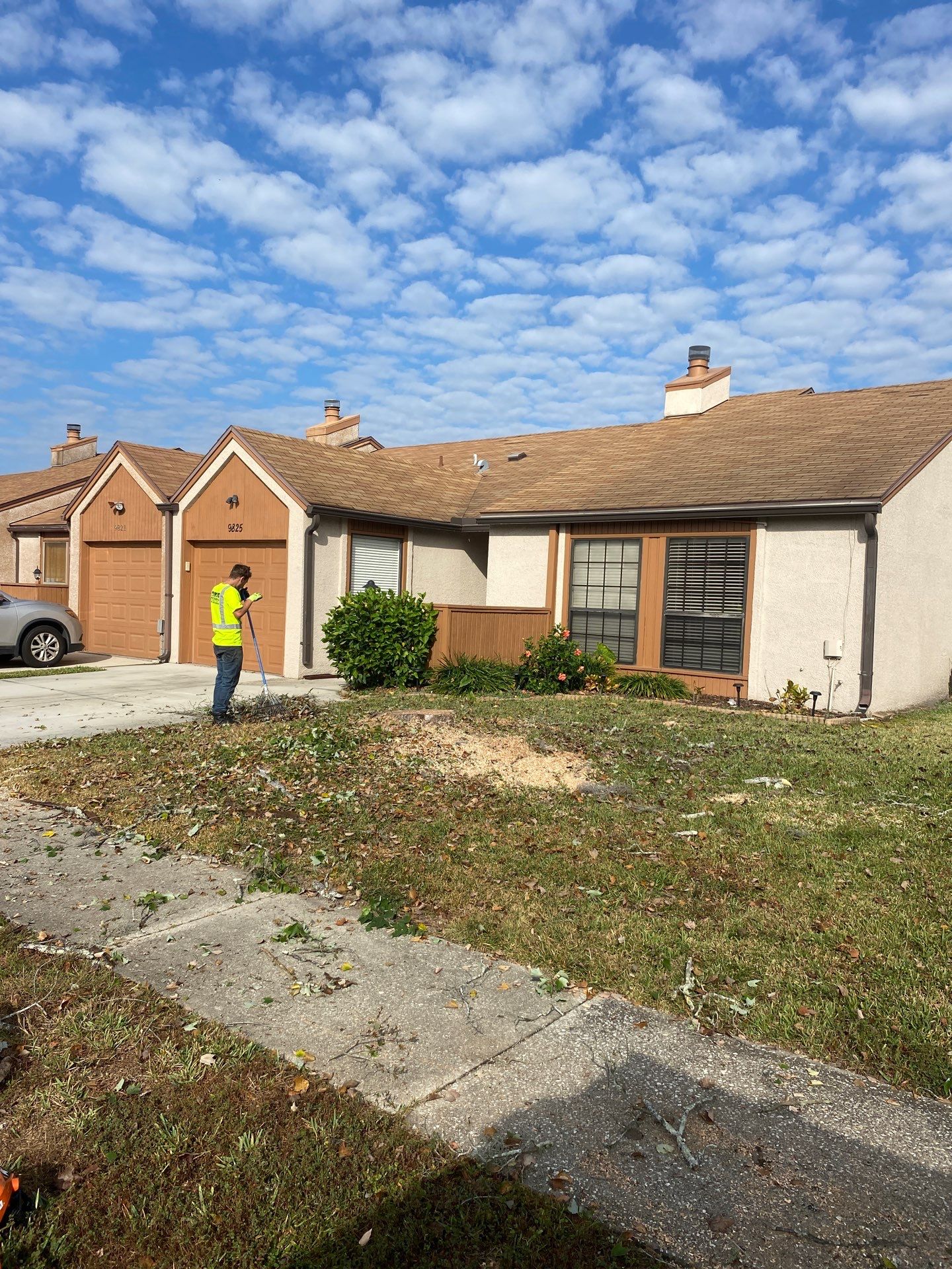 Residential | Tree Removal & Trimming by ProGreen Services