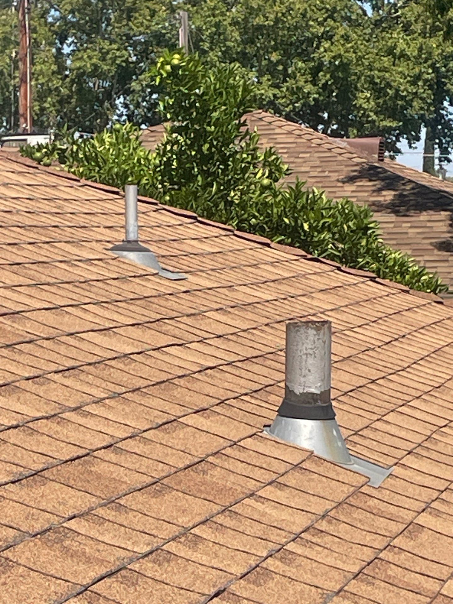 Roof Rejuvenation using Roof Maxx Treatment by Roof Maxx of Folsom