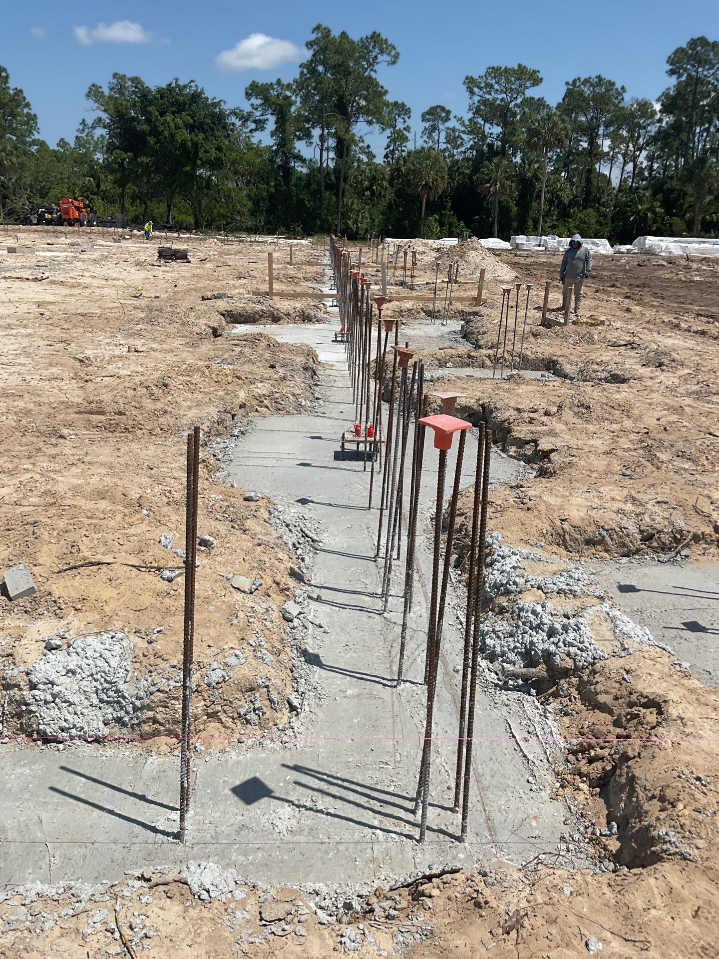 TRACTOR SUPPLY NAPLES by Southern Gulf Construction