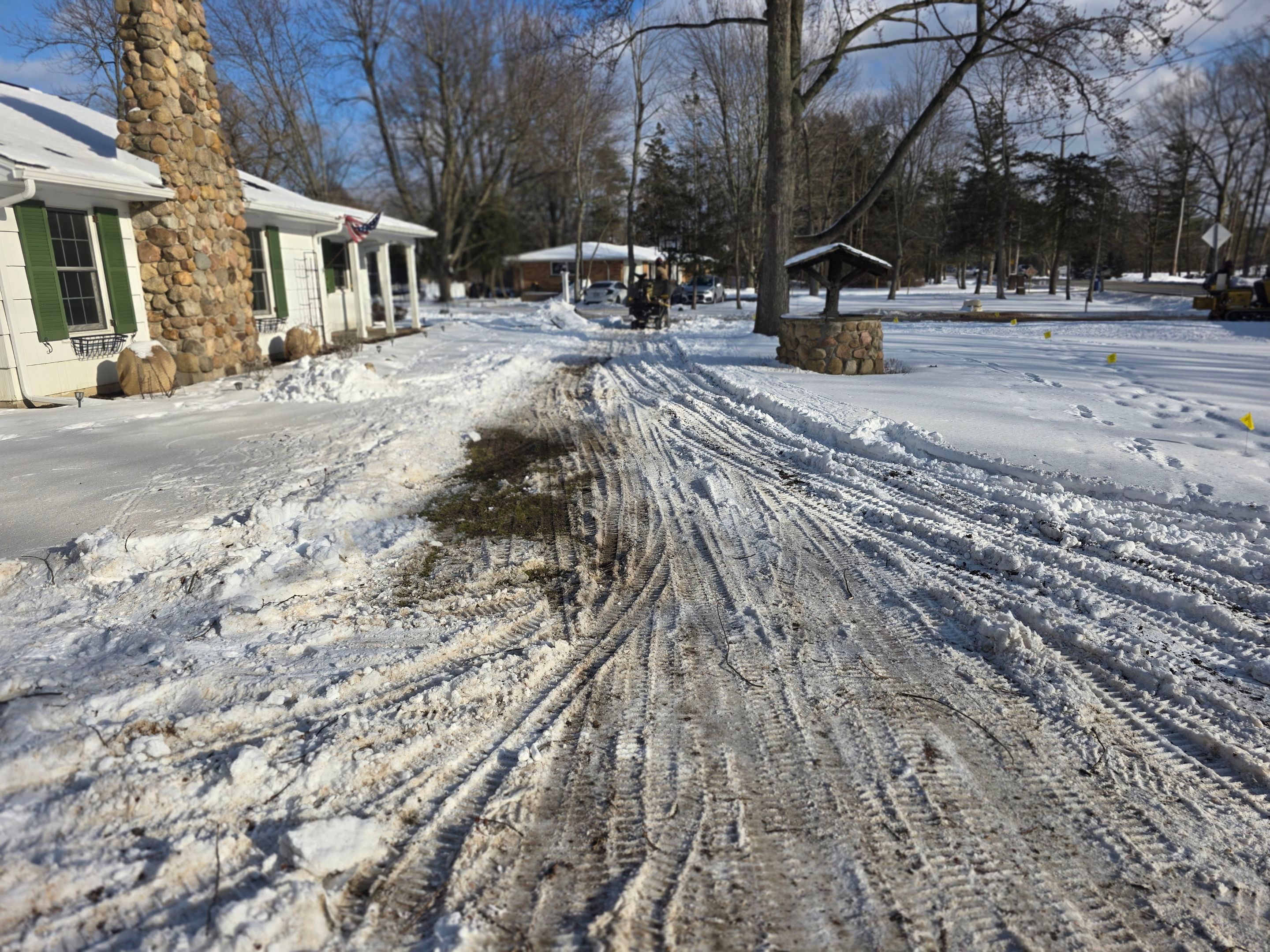 Tree Removal: Future Drive install by Treeman Tom LLC