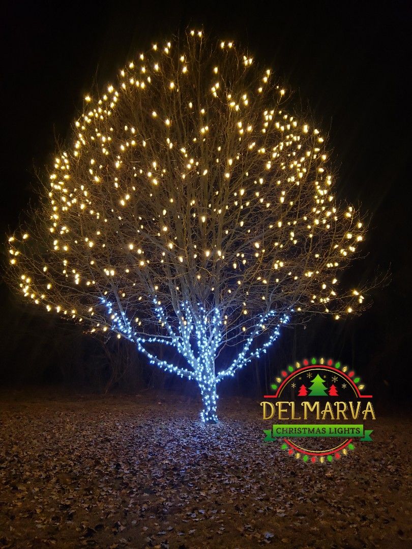 Christmas Lights by Clean Power Wash LLC
