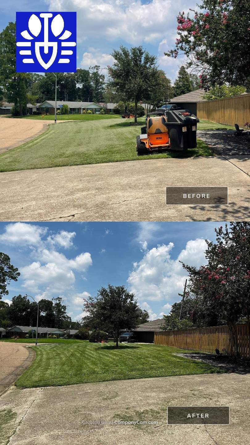 RESIDENTIAL LAWN MAINTENANCE: *OPTIONAL* VAC & BAG GRASS CLIPPINGS AND DEBRIS WITH SCAG GRASS CATCHERBAGGING GRASS CLIPPINGS AND DEBRIS WITH SCAG GRASS CATCHER by CutScape, LLC.