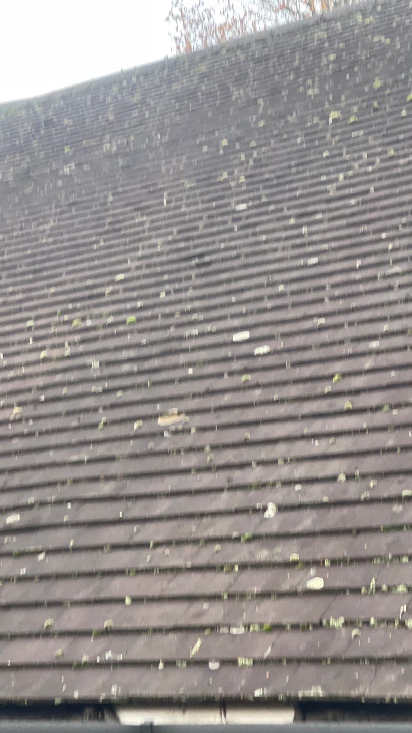Roof Cleaning and Biocide Treatment using Honda 15lpm Low Pressure Washing Machine by Ges Exterior Cleaning ltd