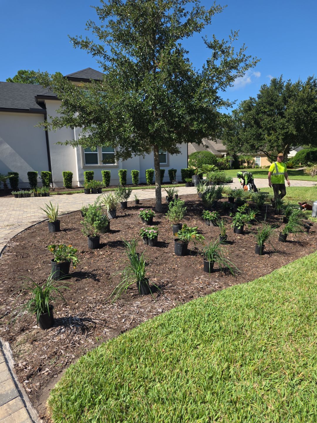 Deerwood Resident | Landscape Update by ProGreen Services