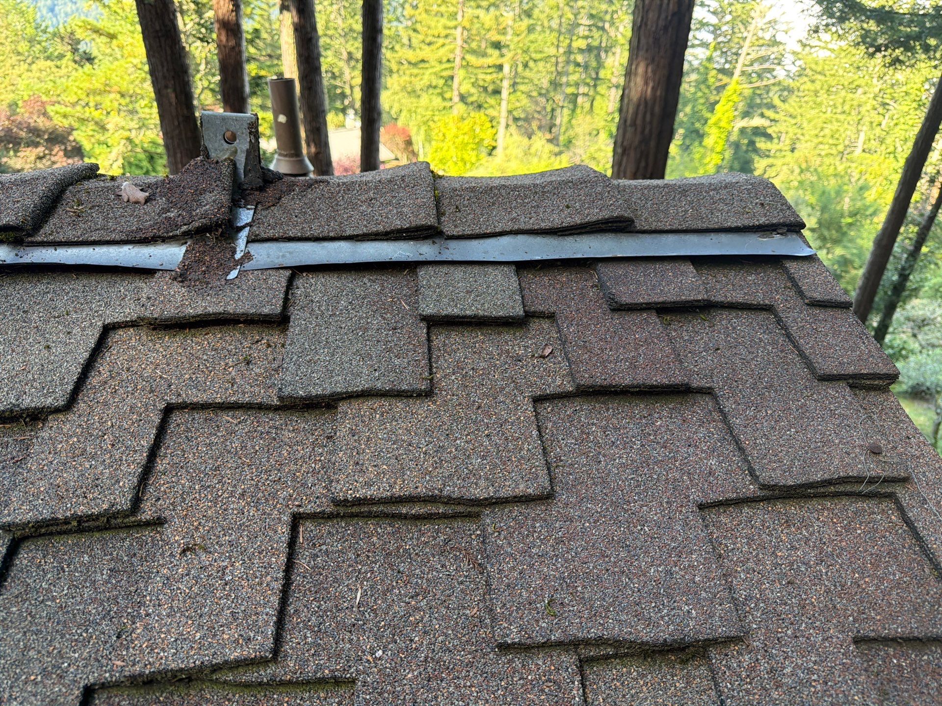 Alpha Eagle Roofing field photo 1