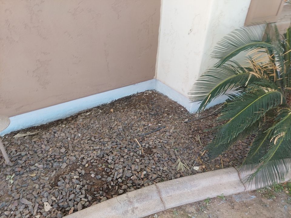 Exterior Painting - Gilbert by Crash of Rhinos Painting & Garage Floors