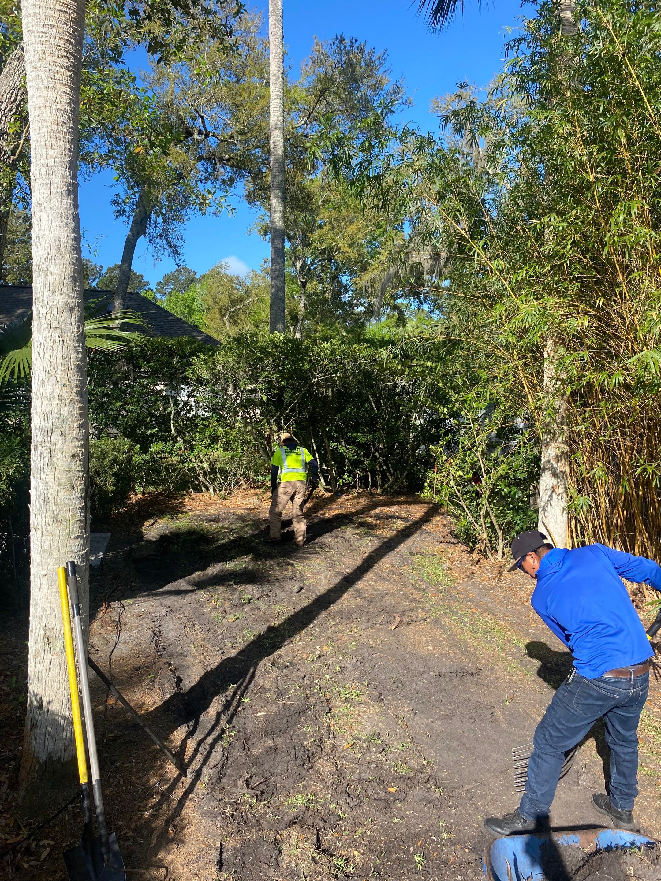 Residential | Sod Installation by ProGreen Services