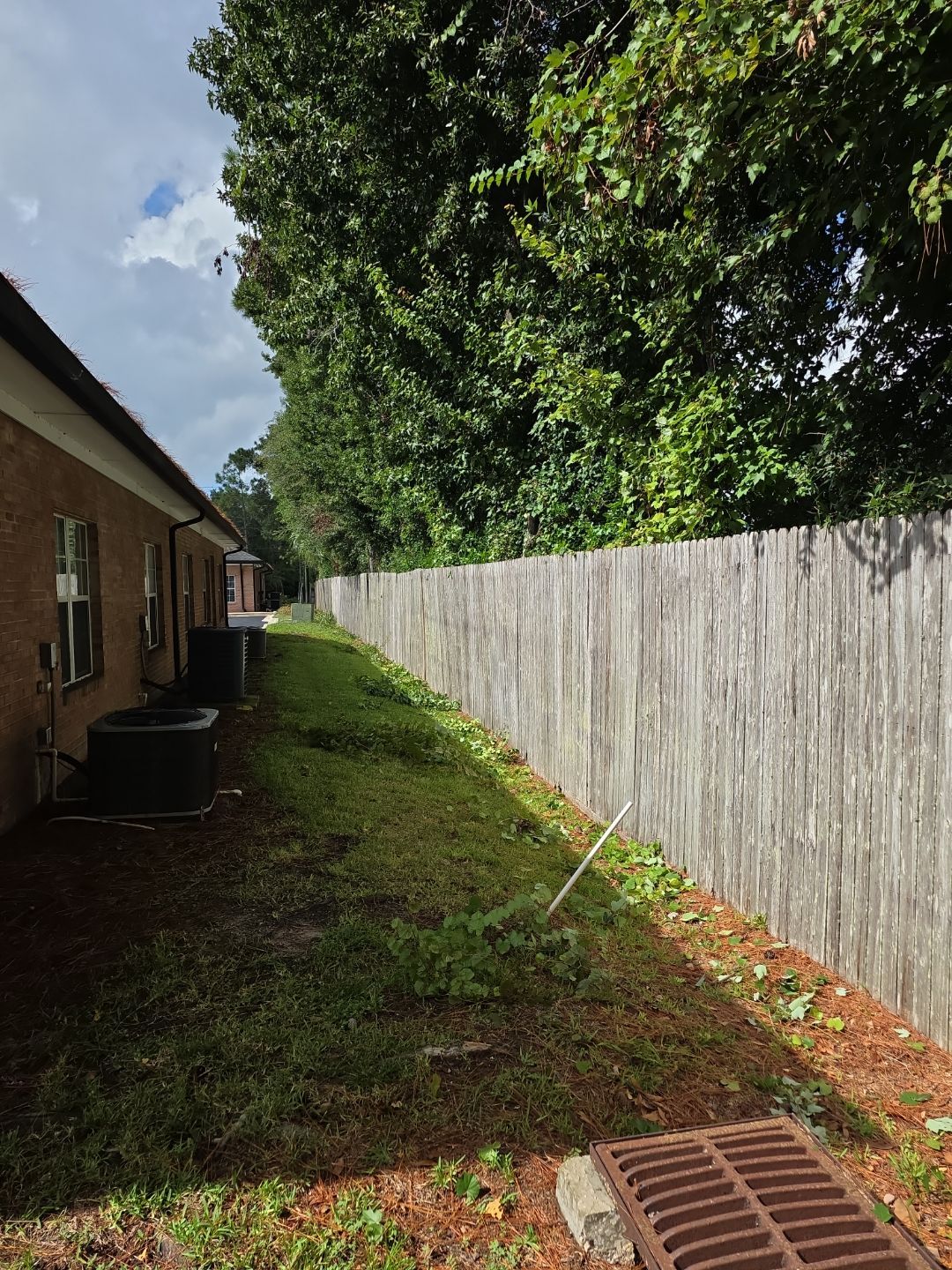 Commercial Property | Tree Removal & Trimming by ProGreen Services