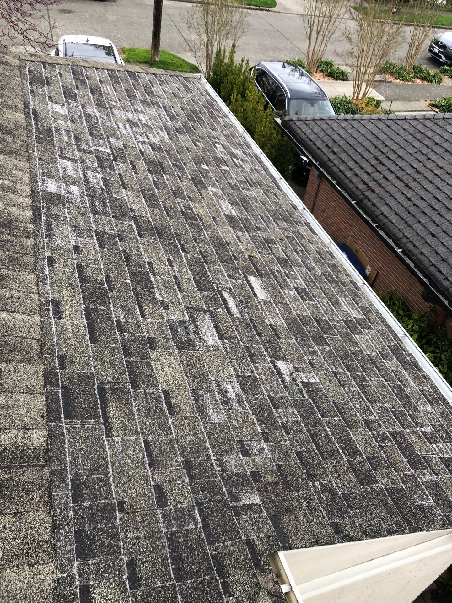 Project in Seattle by Connolly Construction Company