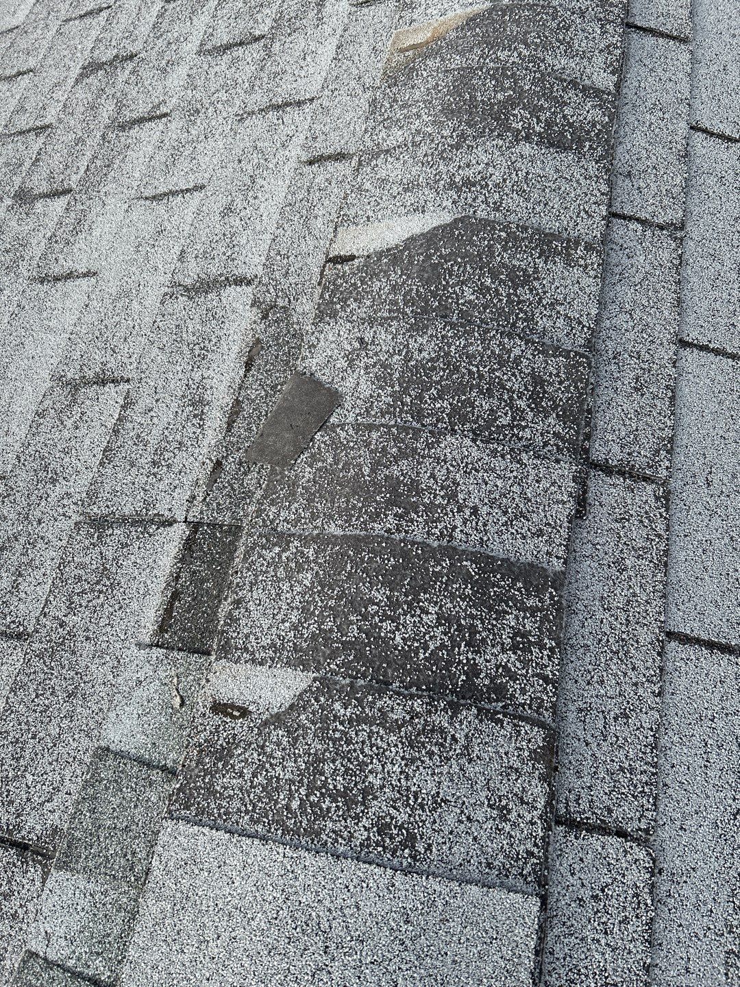 Walter's Full Re-Roof (Energy Star) by All Storm Roofing & Construction
