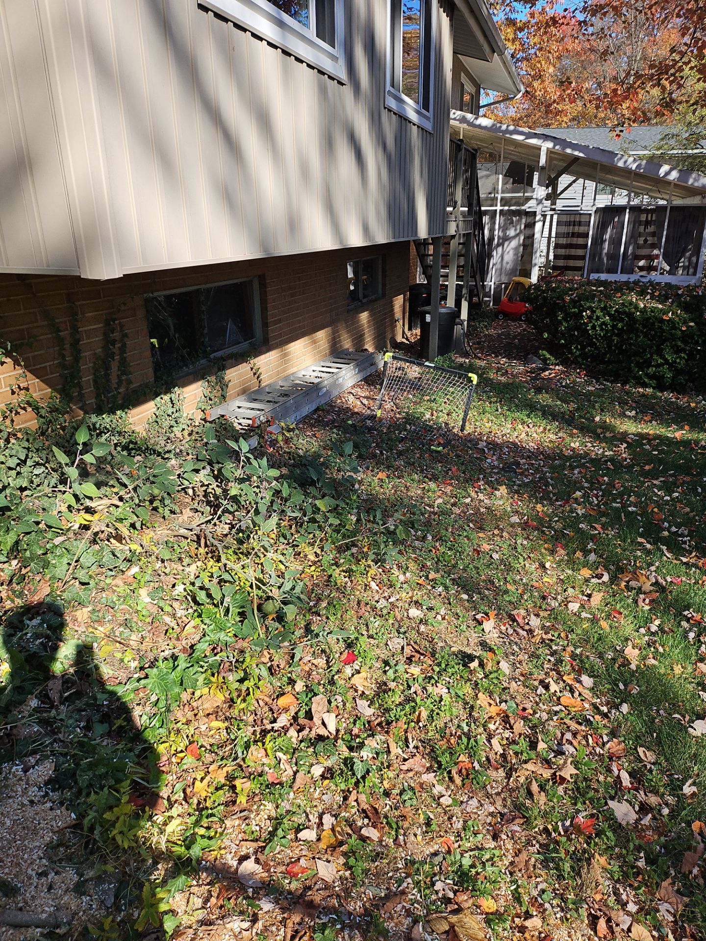 Tree Removal using Tree Removal by Mike Jones & Sons Tree Service LLC 