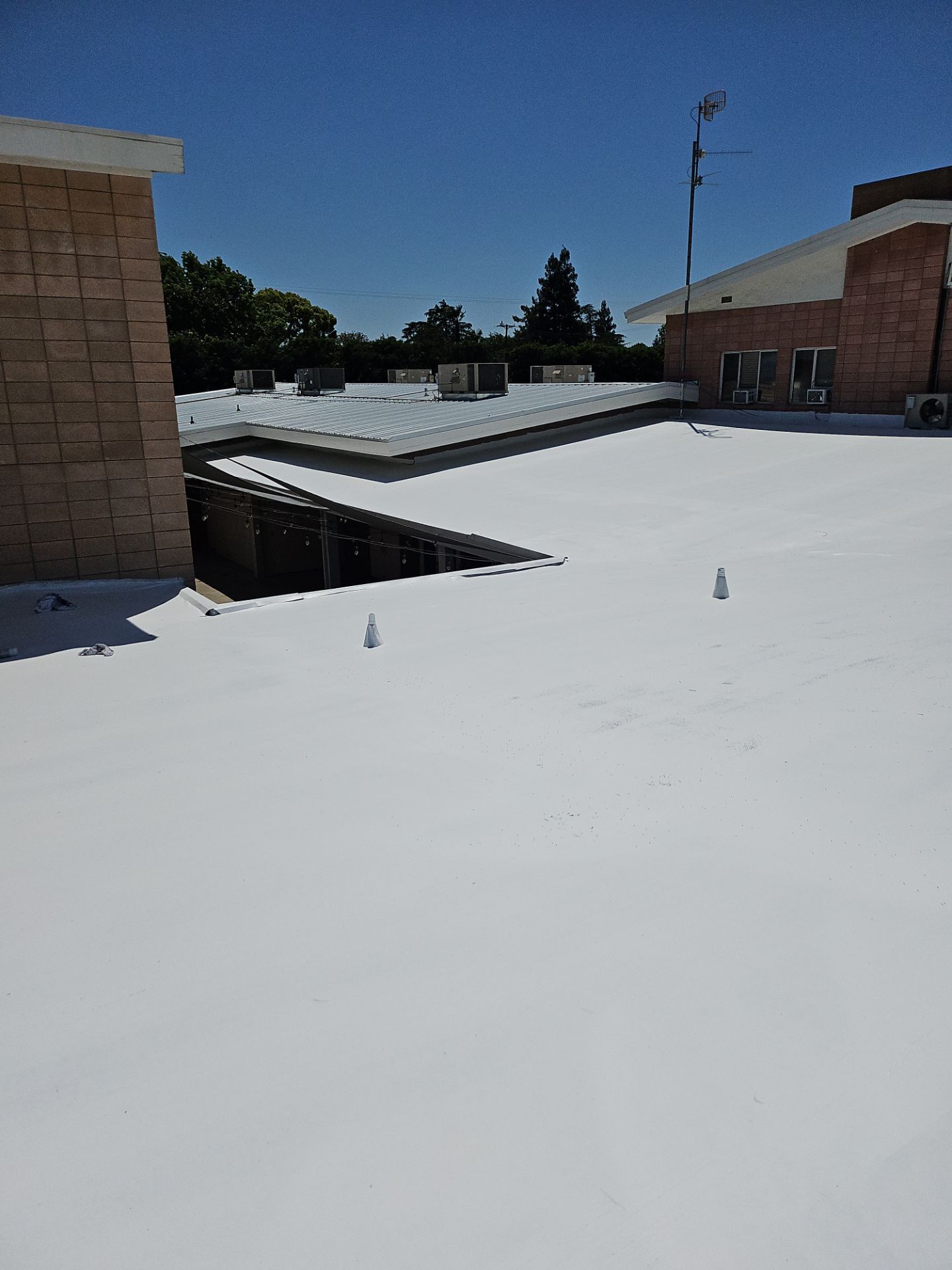 Single-ply restoration system using Benchmark/PUMA XL coatings over TPO single-ply roofing by Straight Edge Roofing Inc