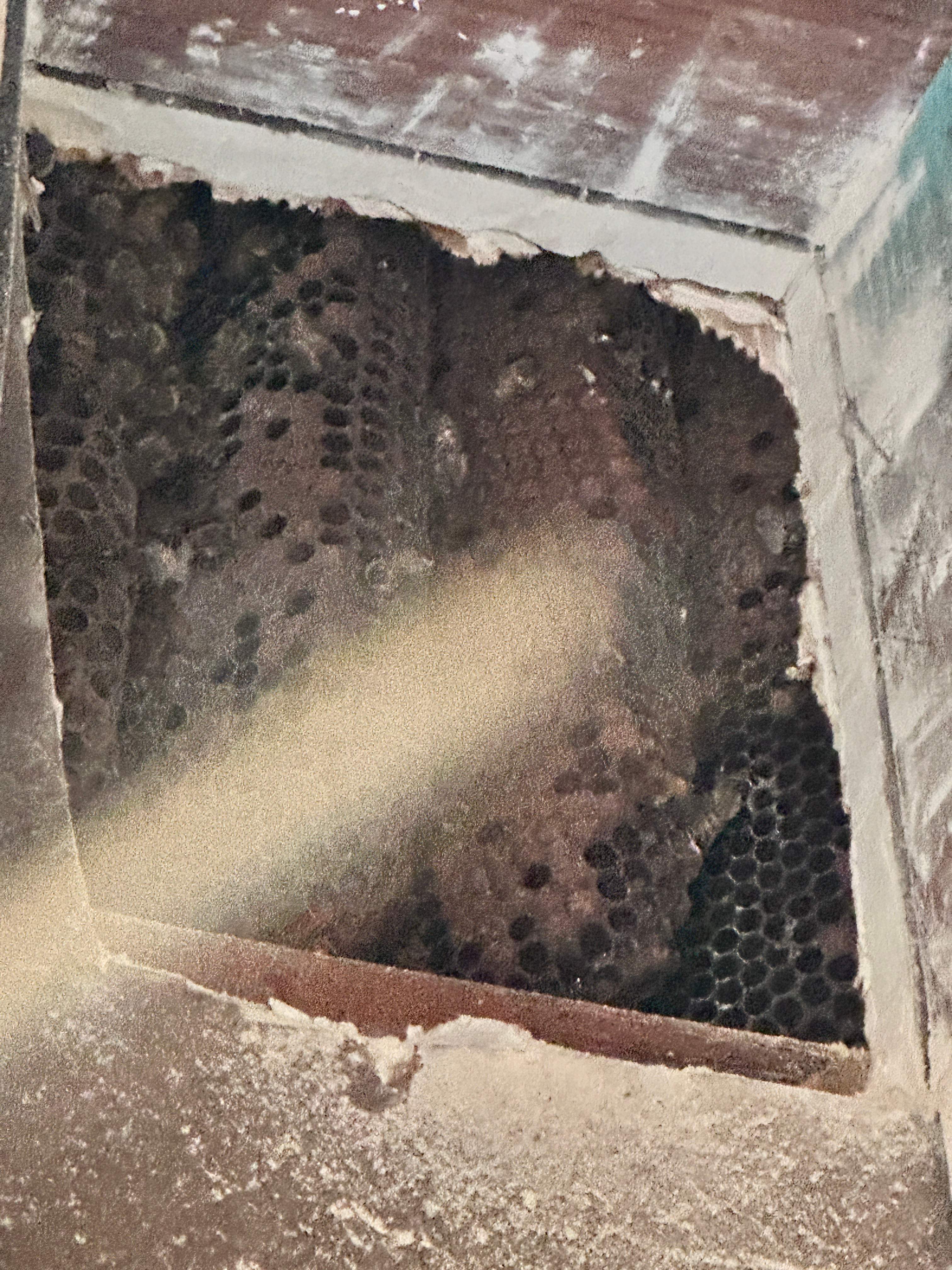 Hidden Garage by Rockwall Honey Bee Company