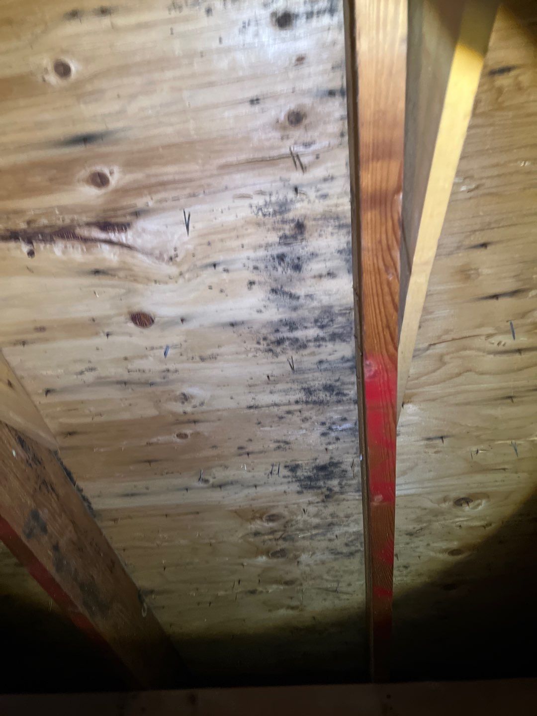 Residential Roofing Repair by Storm Guard of South Metro Denver