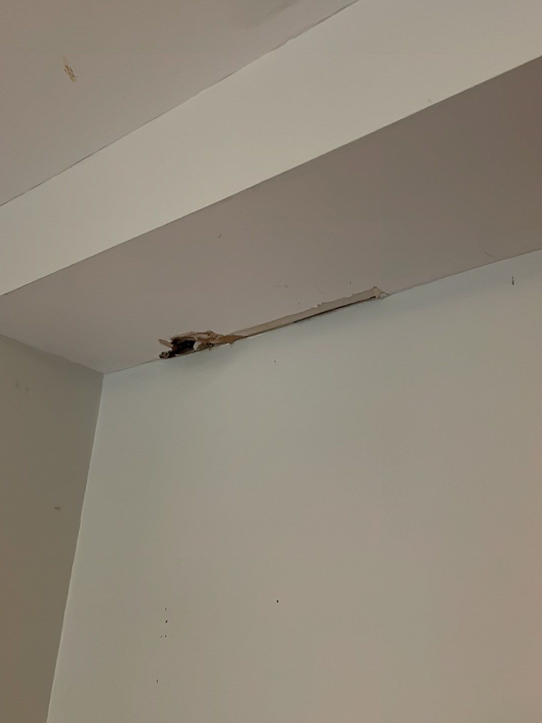 Water damage by Eco-Nature Construction Inc.