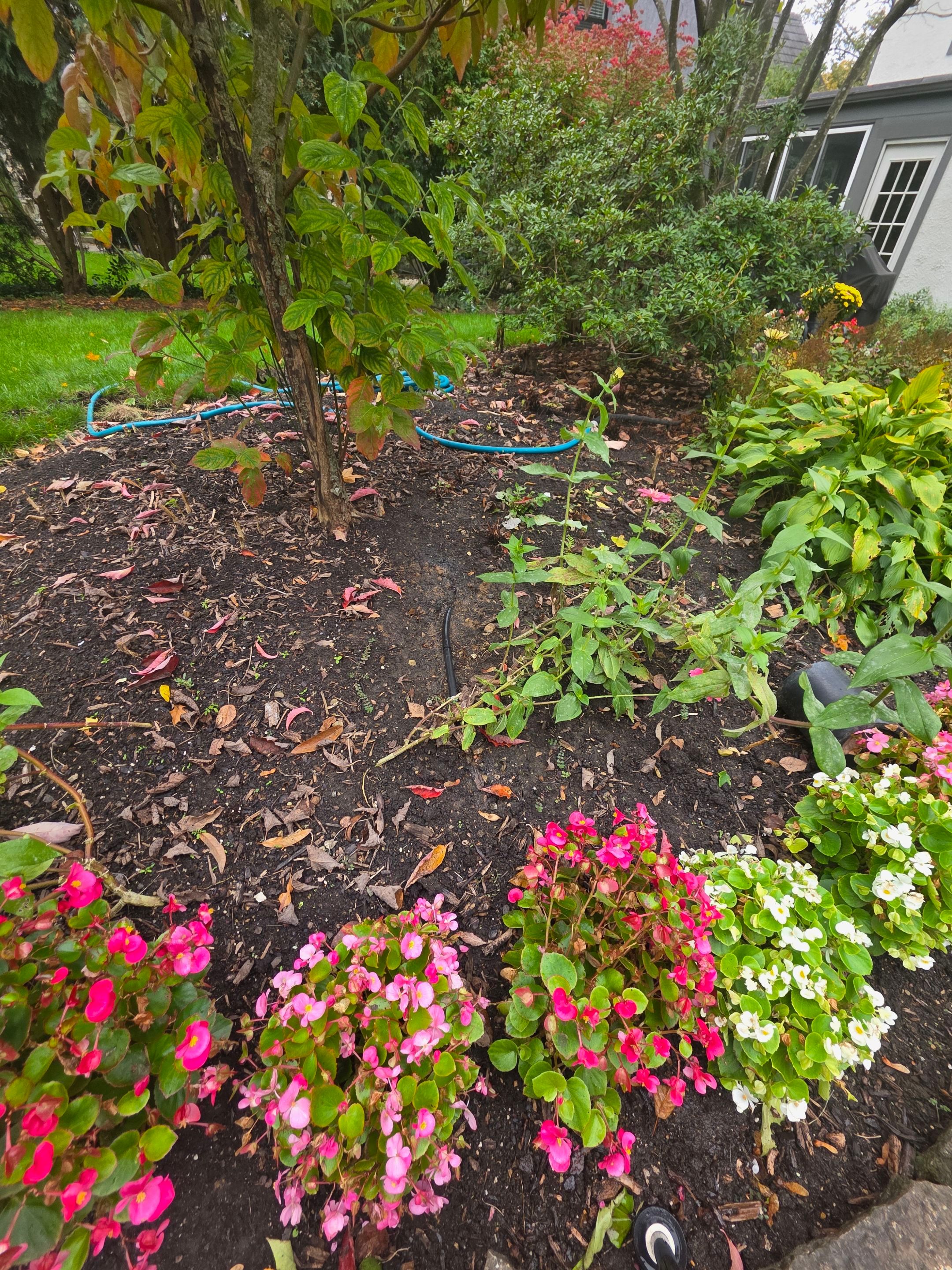 Murreyscott Res by Total Quality Horticultural Solutions 