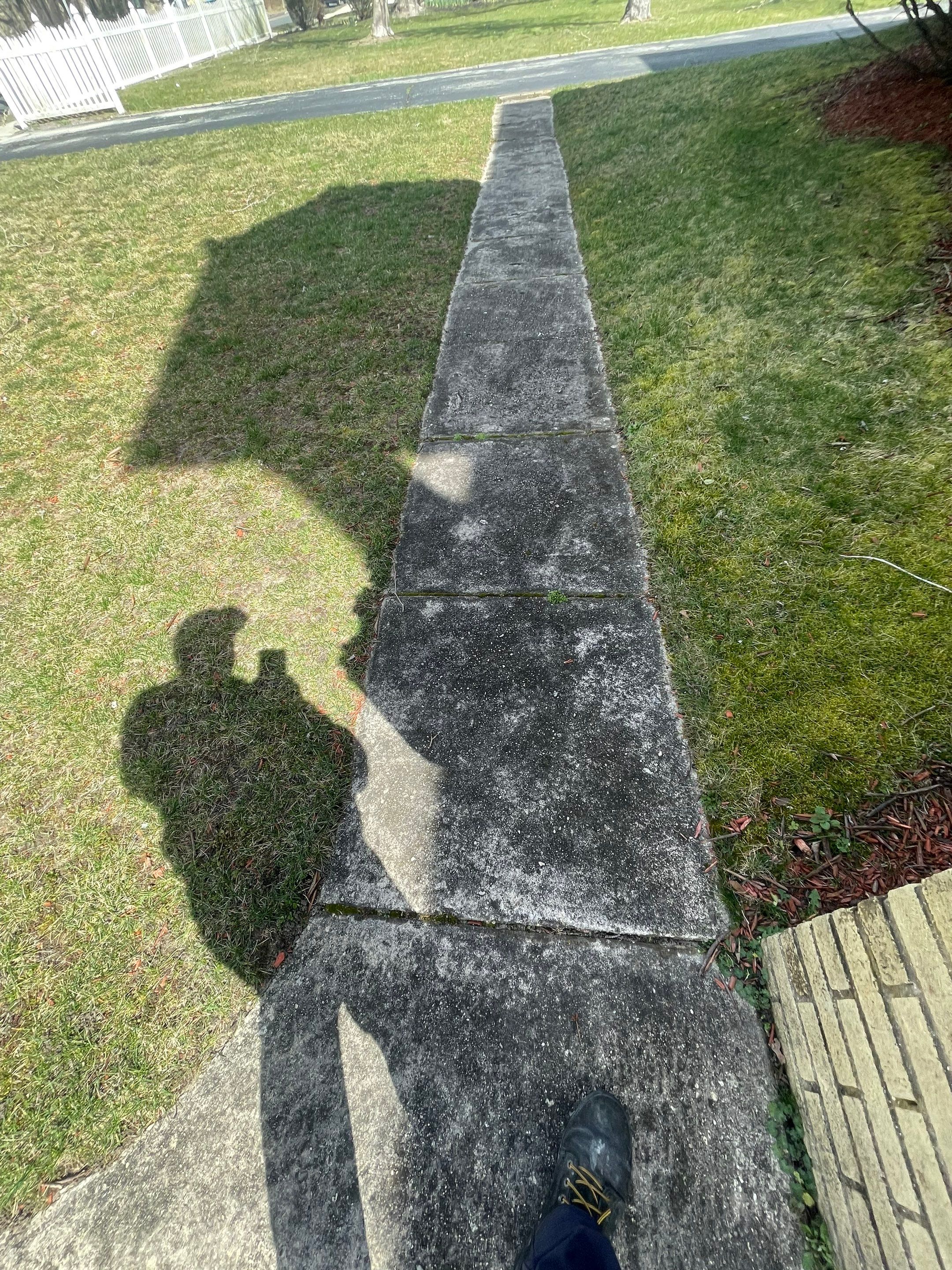 House, Pool & Rear Patio, Garage & Fence by SJ Exterior