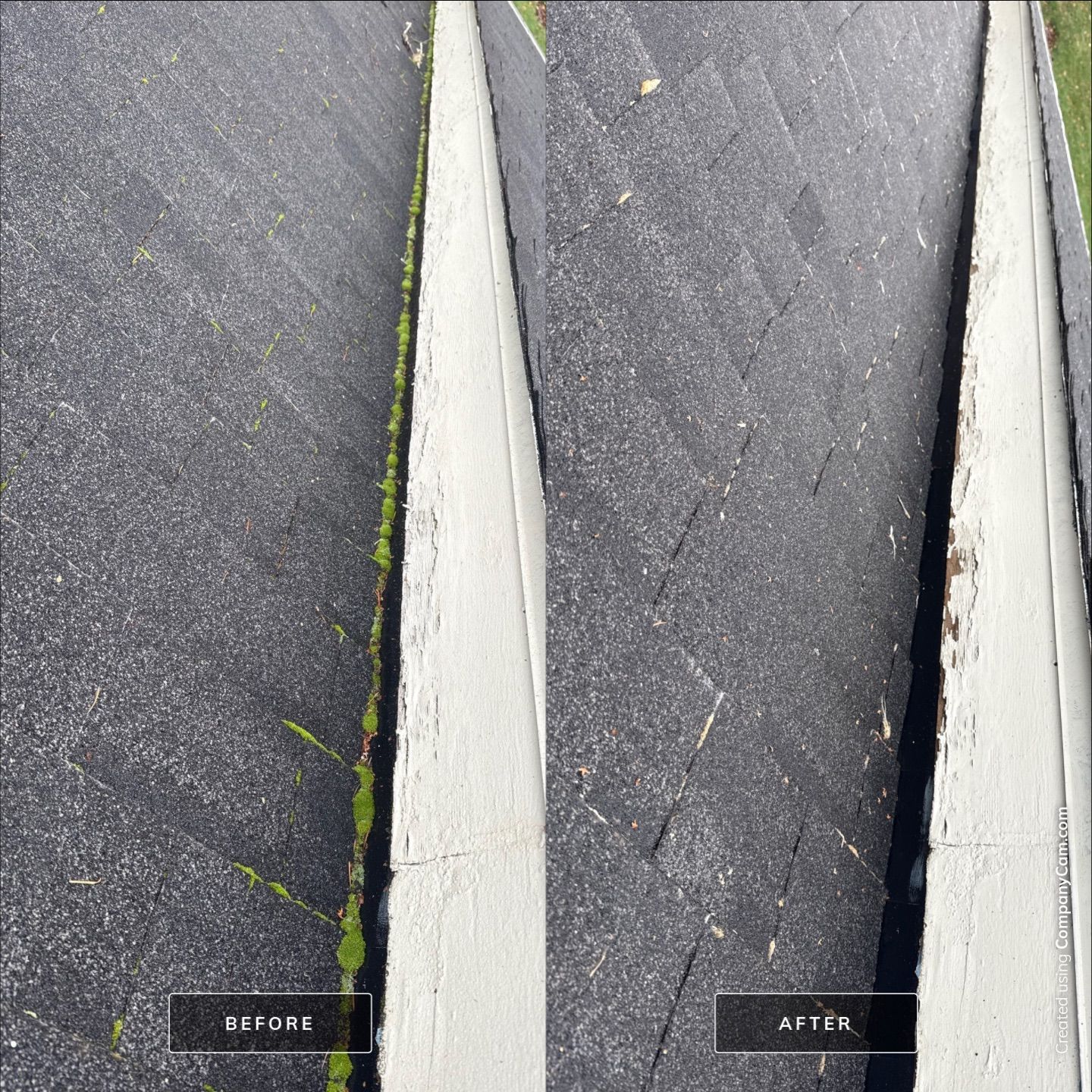 Shingle Transformation - Otis by Rolling Suds of Oregon Coast – Salem