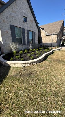 🌿✨ Darlene & Andrew’s Amazing Curb Appeal Transformation  Some projects are more than just landscaping—they’re a conversion of curb appeal from the ground up. For Darlene & Andrew, Alejandro and the Texas Urban Team designed and delivered a complete solution that reshaped their flower beds, solved drainage challenges, and gave new life to the sideyard.  💡 From planning to execution, every step was tailored to build both beauty and functionality:  🌸 Flower Beds, Reinvented  Demolition of old beds, plants, and mulch.  Fresh soil preparation, weed protection, and a brand-new retainer wall built with hand-cut stone and decorative caps.  Carefully selected plants and garden mix to ensure health and visual harmony.  💧 Drainage & Irrigation Upgrades  Outdated corrugated pipes replaced with PVC drainage lines to carry water safely away from the foundation.  New irrigation system combining drip lines and sprinklers—watering plants while keeping the house walls protected.  Sideyard drainage extended with catch basins and PVC piping to prevent water pooling and foundation stress.  🚶 Functional Sideyard with Walkway & Trash Area  Graded and leveled sideyard to manage runoff.  Installed a modern gravel and paver walkway for easy access.  Built a firm and tidy concrete-paver pad for trash containers—making the space both practical and polished.  🛠️ Stonework & Craftsmanship  Every stone in the retainer wall was cut, set, and secured by the team of handcrafters, ensuring a durable build that doubles as a design statement.  ✅ Outcome: Darlene & Andrew’s property now has better drainage, a clean and organized sideyard, and elegant new flower beds—all designed for long-term durability and lasting beauty.  📢 Before hiring anyone, review our portfolio. Our work speaks louder than words—each project is a blend of function, protection, and design crafted to last.