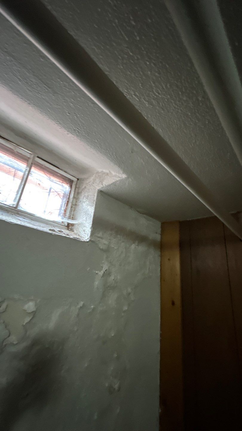 Mold Remediation by Accountable Home Services