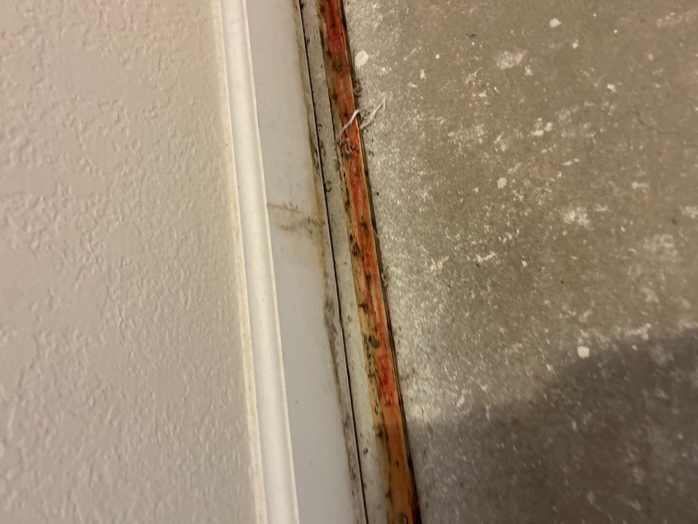 Mold Damage Project in Thornton by Accountable Home Services