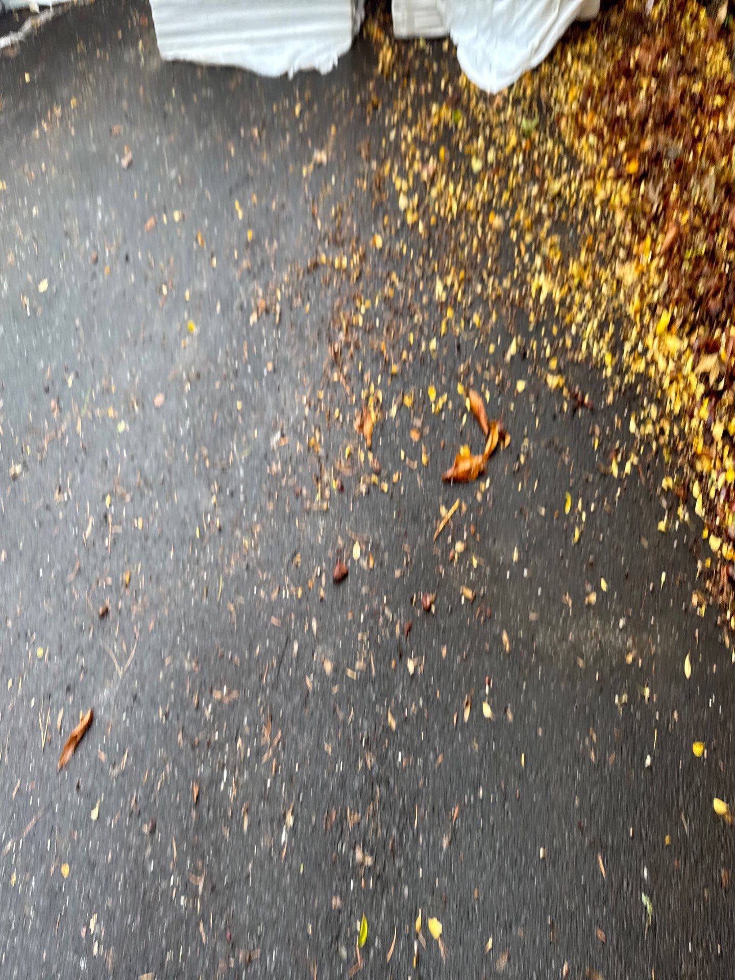 Project in Portland by Peak Exteriors LLC