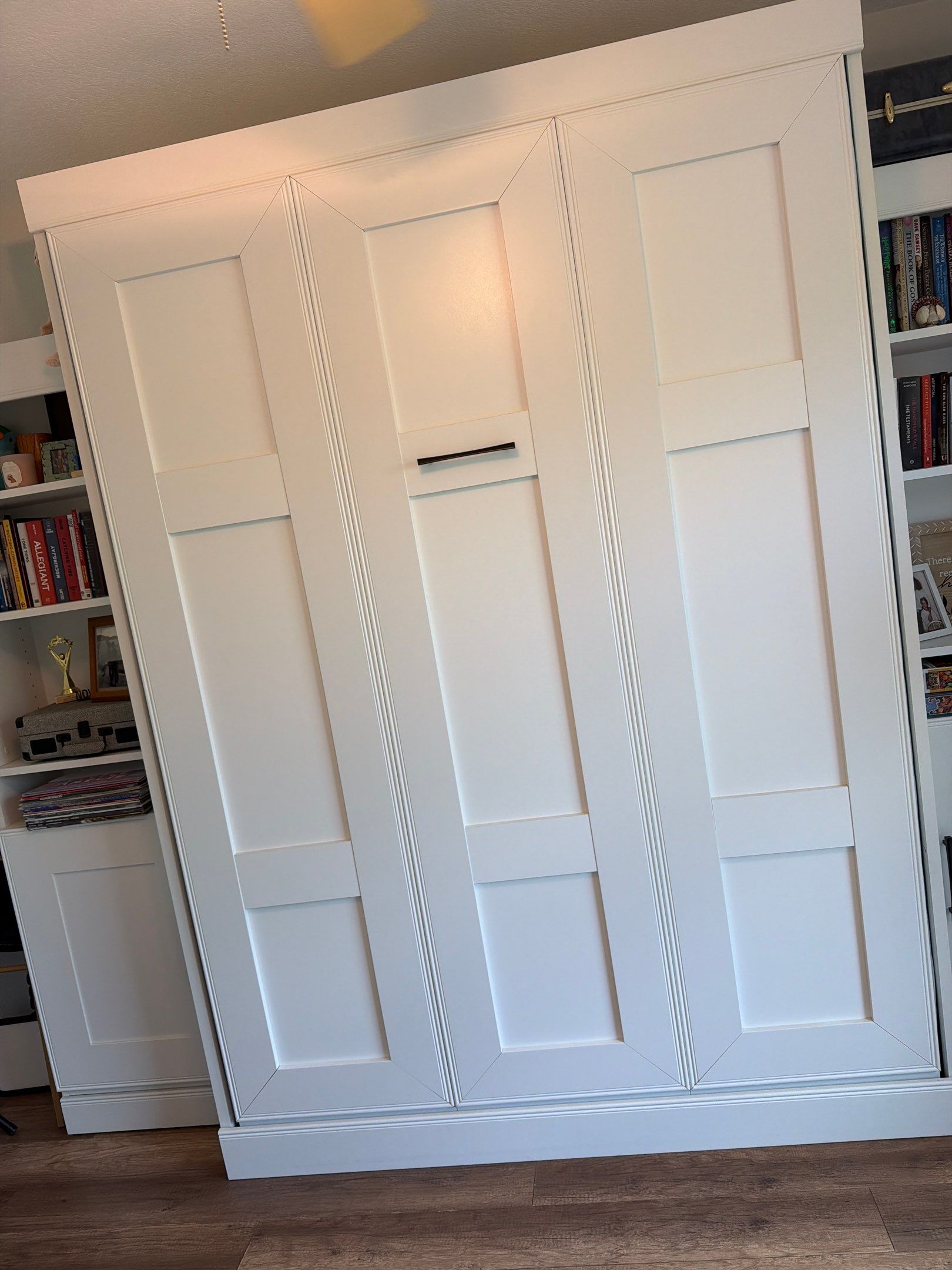 Custom Murphy Bed and Integrated Built-in Shelving in Avondale by CompanyCam Sales Demo