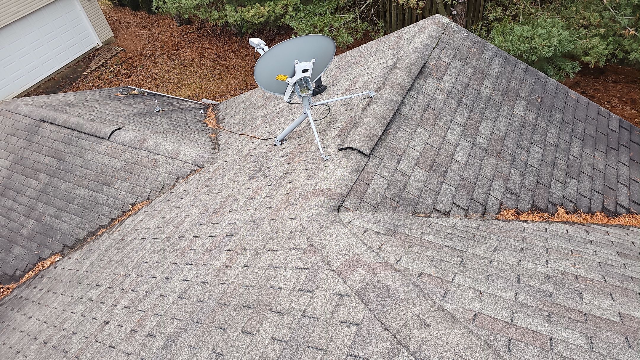 Alpha Rib, Color: Forest Green by Eagle Eye Roofing