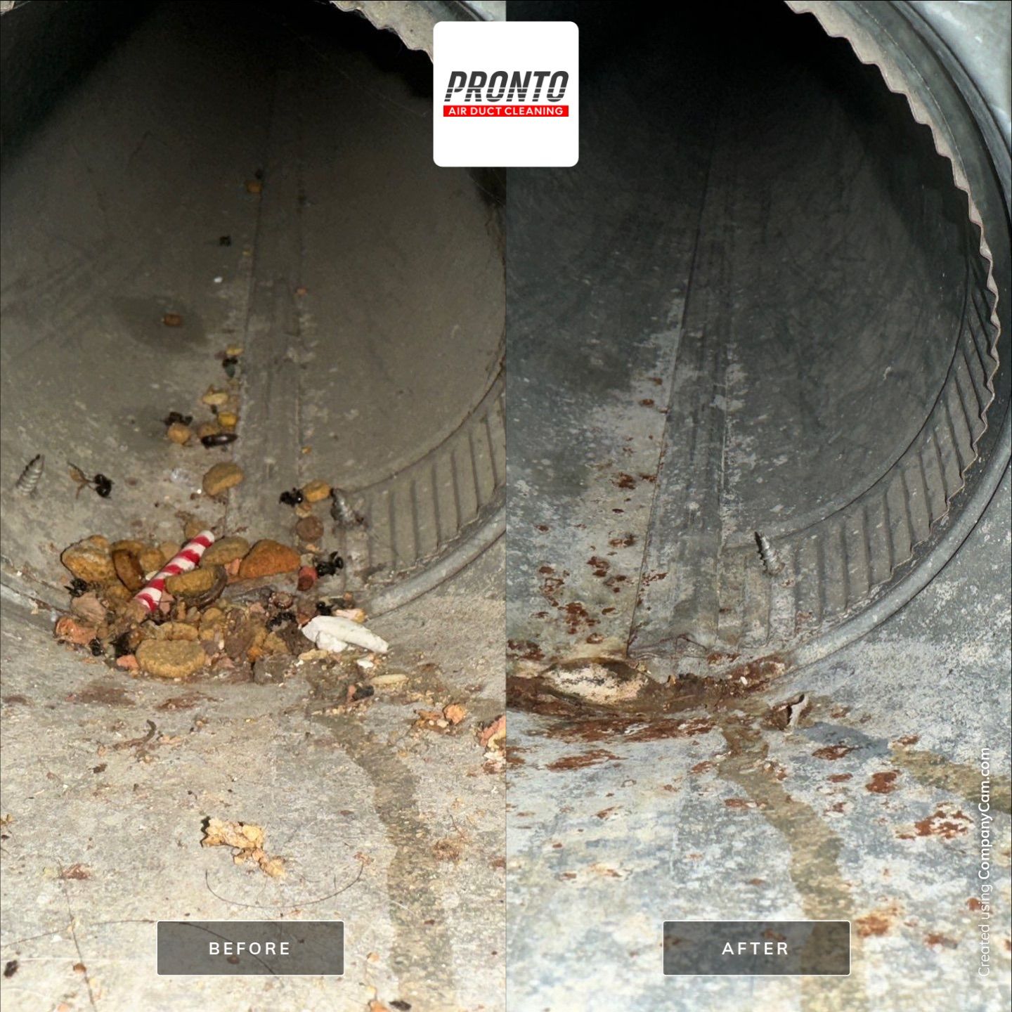 Air duct & Dryer Vent cleaning using Hypervac by Pronto Air Duct Cleaning