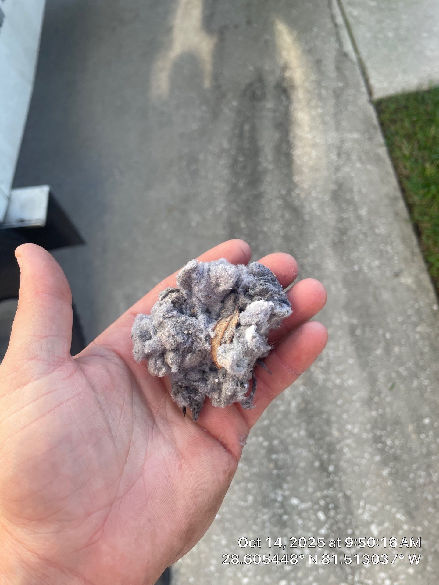 Dryer Vent Cleaning in Ocoee by Hygienic Air, Inc
