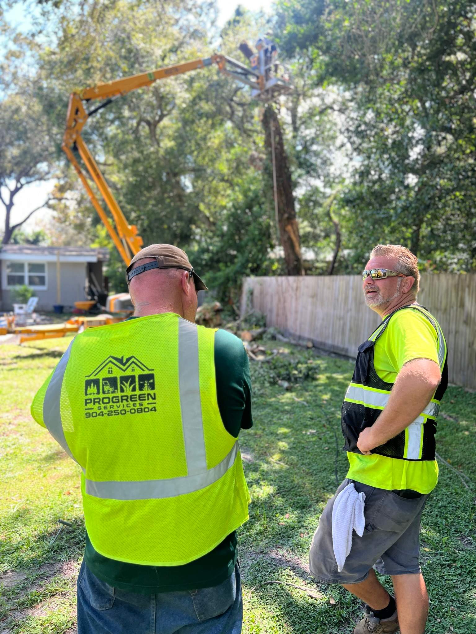 Tree Removal | Residential by ProGreen Services