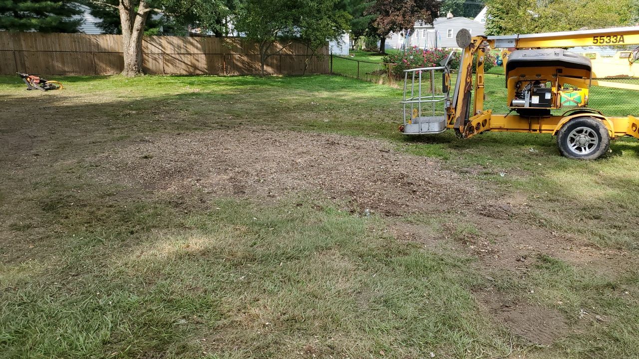 Tree Removal by Mike Jones & Sons Tree Service LLC 