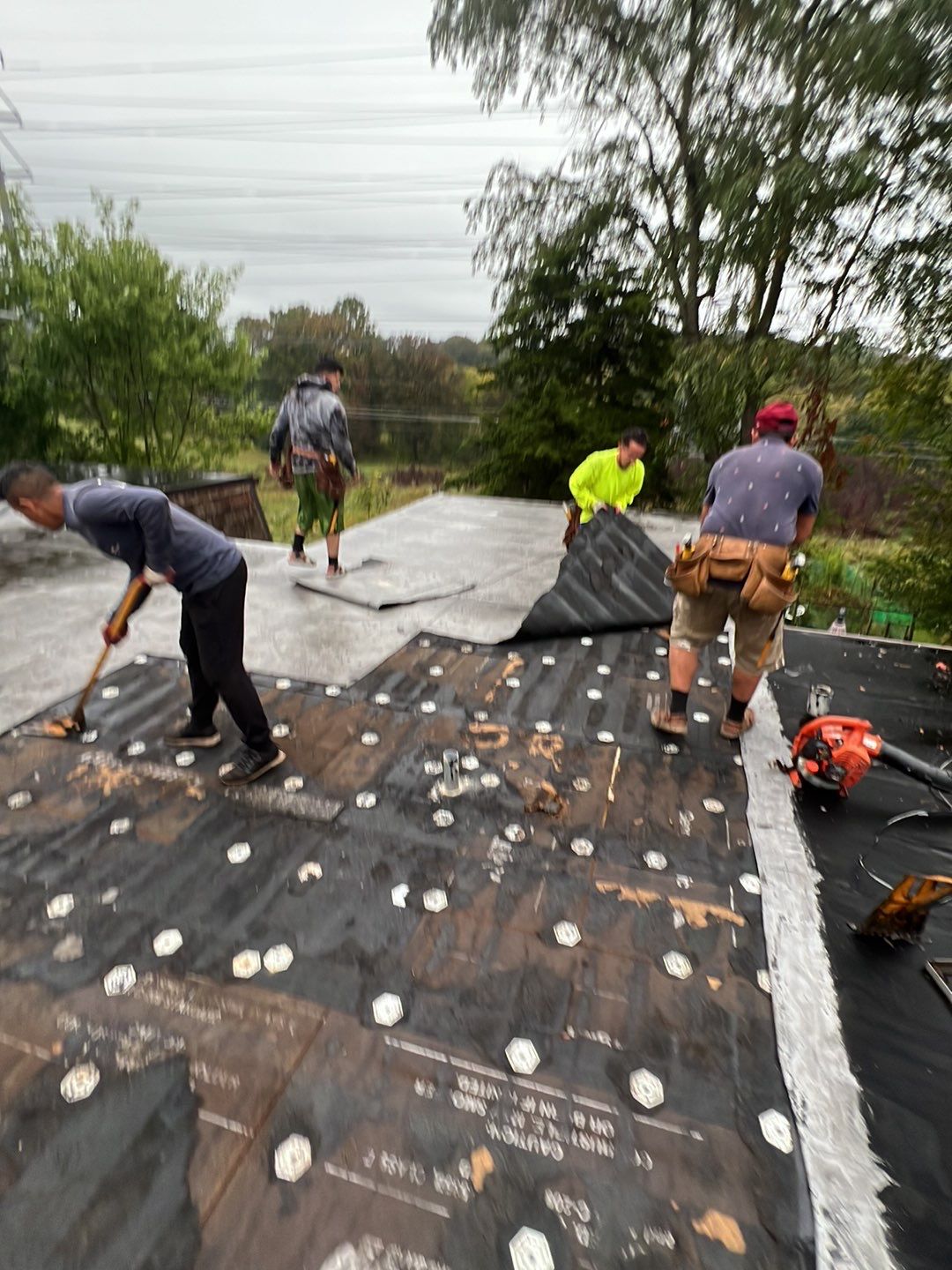 Modified Bitumen Membrane by Reimagine Roofing
